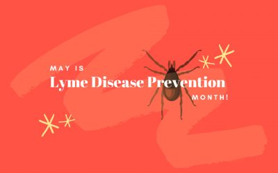 May is lime disease prevention month!