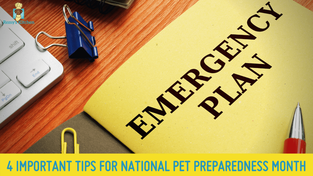 National Pet Preparedness Tips